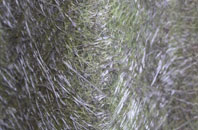 North Wheatley fibreglass roof work